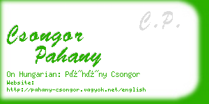 csongor pahany business card